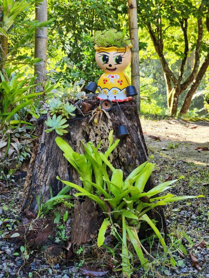 Hospedaria E Camping Quintal Do Mundo 卢米亚 外观 照片