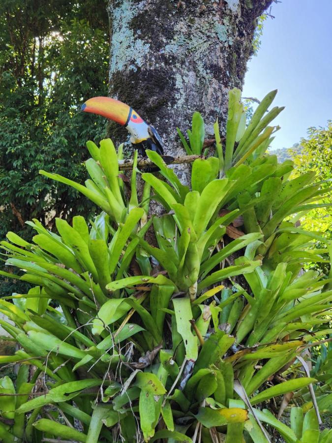 Hospedaria E Camping Quintal Do Mundo 卢米亚 外观 照片