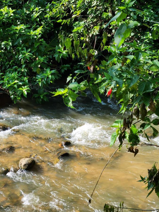 Hospedaria E Camping Quintal Do Mundo 卢米亚 外观 照片