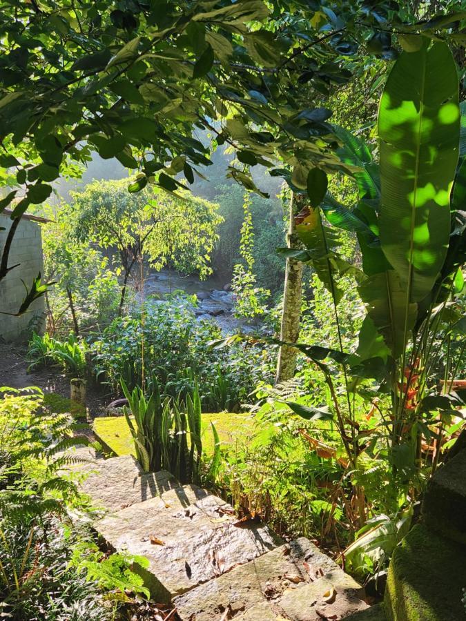 Hospedaria E Camping Quintal Do Mundo 卢米亚 外观 照片
